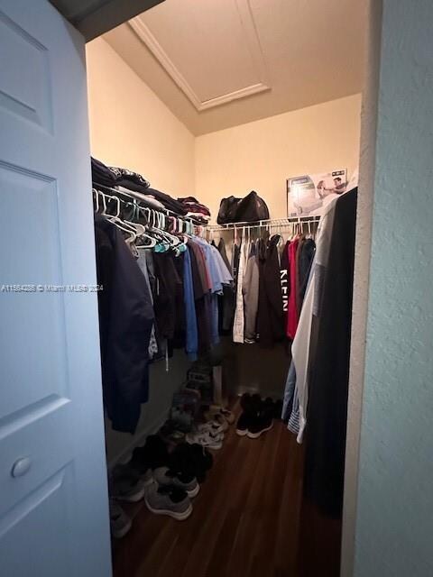 spacious closet with wood-type flooring