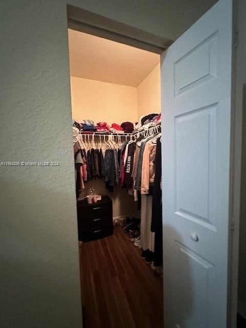 walk in closet featuring dark hardwood / wood-style flooring