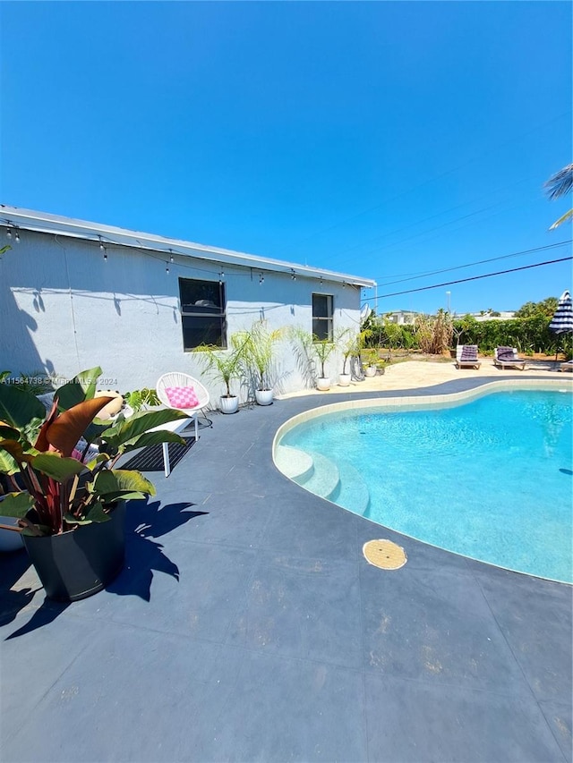 view of swimming pool with a patio