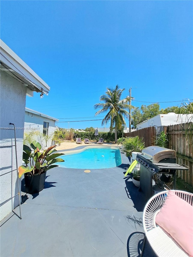 view of pool featuring a patio