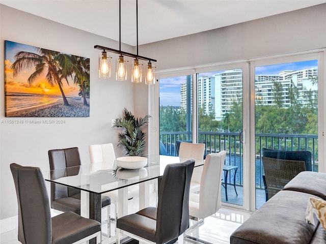 dining room with a healthy amount of sunlight