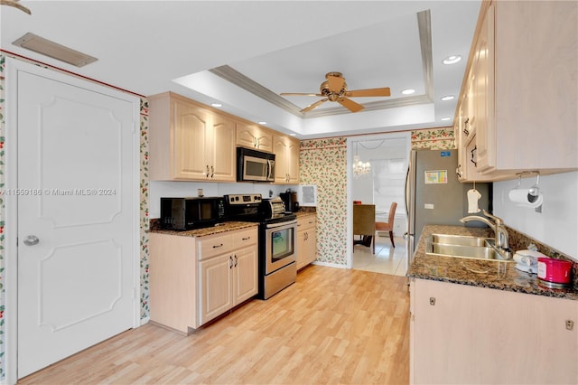 kitchen with stainless steel appliances, light hardwood / wood-style flooring, a tray ceiling, and sink