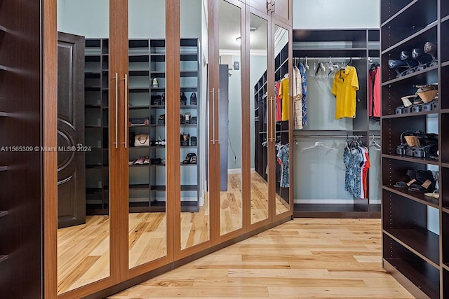 spacious closet with light hardwood / wood-style flooring