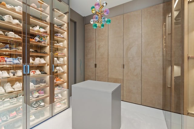 view of walk in closet