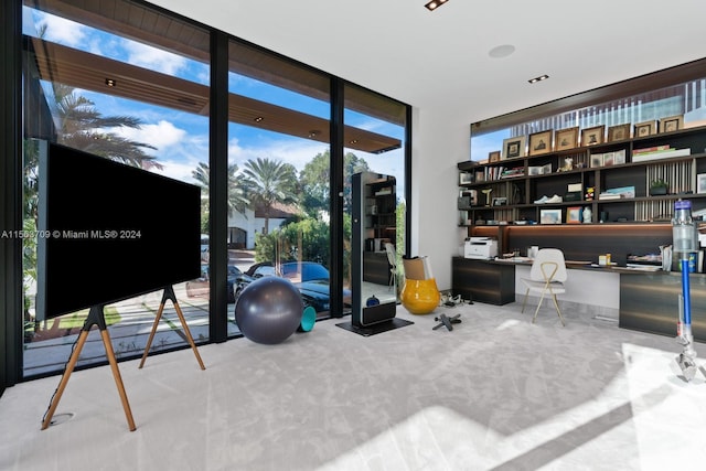 exercise room featuring expansive windows, carpet flooring, and built in desk