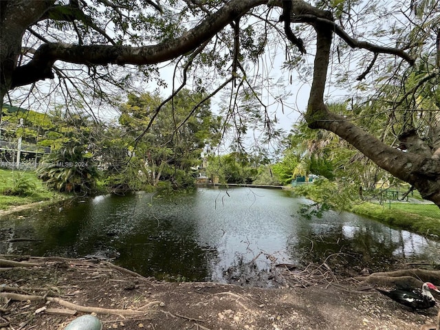 view of water feature