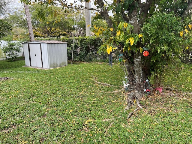 view of yard featuring a shed