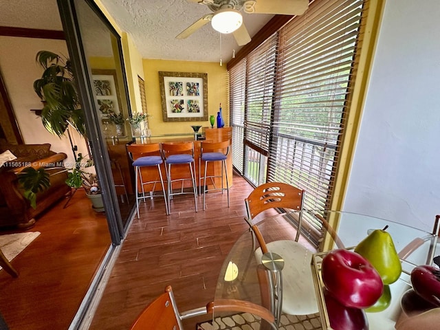 interior space featuring ceiling fan, dark hardwood / wood-style floors, and a textured ceiling