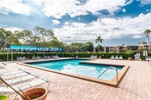 view of pool with a patio area