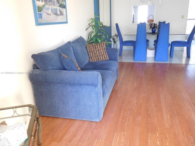 living room with hardwood / wood-style flooring