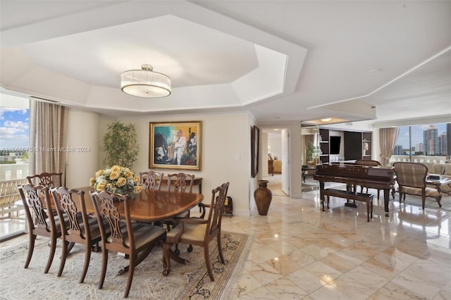 dining room featuring a healthy amount of sunlight and a tray ceiling