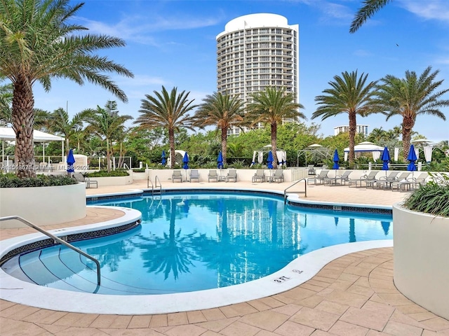 view of swimming pool with a patio