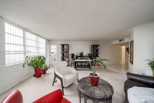 living room featuring a textured ceiling