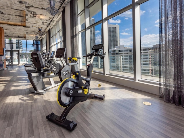 exercise room featuring a wall of windows and light hardwood / wood-style floors