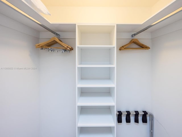 view of walk in closet