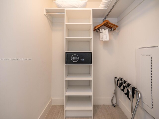 spacious closet featuring light colored carpet