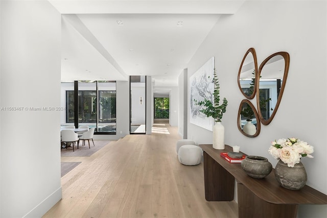 hallway featuring light hardwood / wood-style flooring