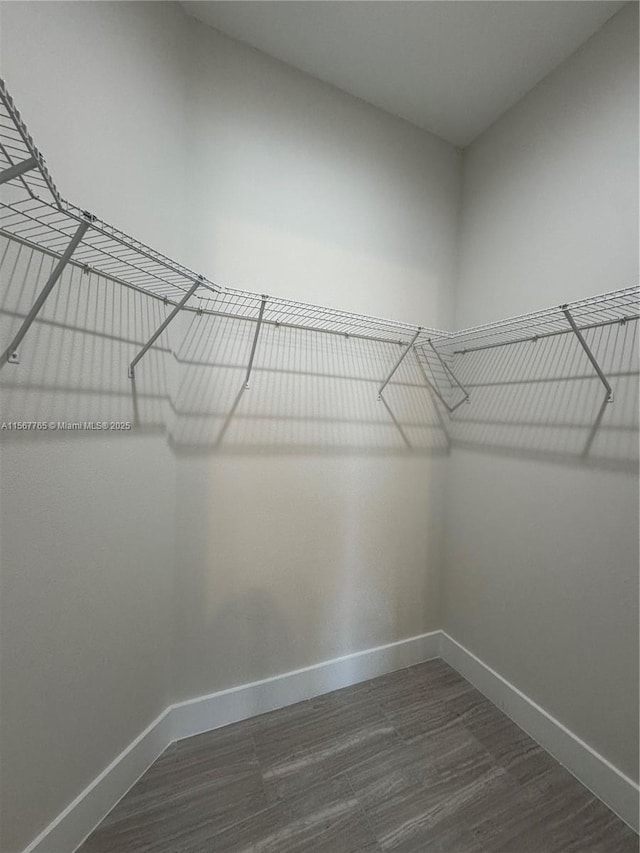 spacious closet featuring dark hardwood / wood-style flooring