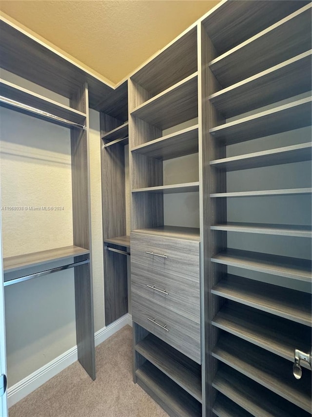 spacious closet featuring carpet