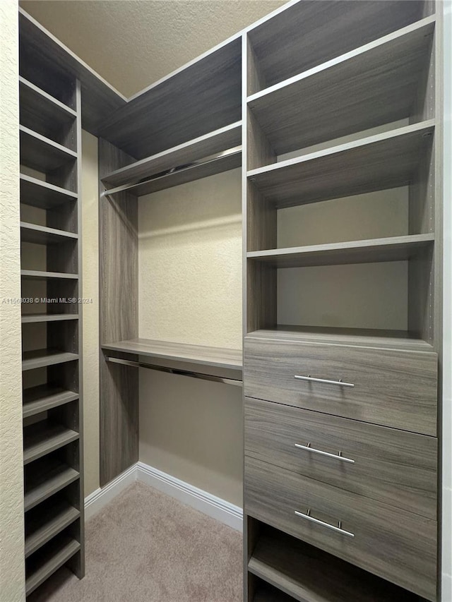 walk in closet featuring carpet floors