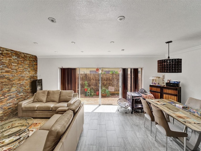 living room with a textured ceiling and crown molding