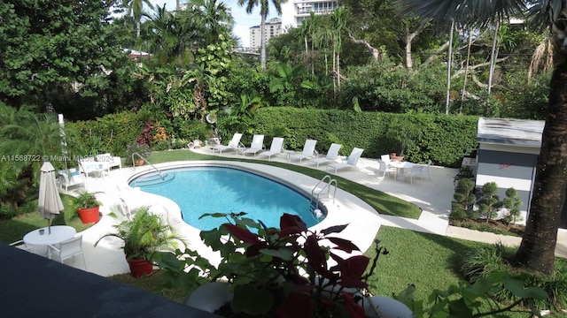 view of pool featuring a patio area