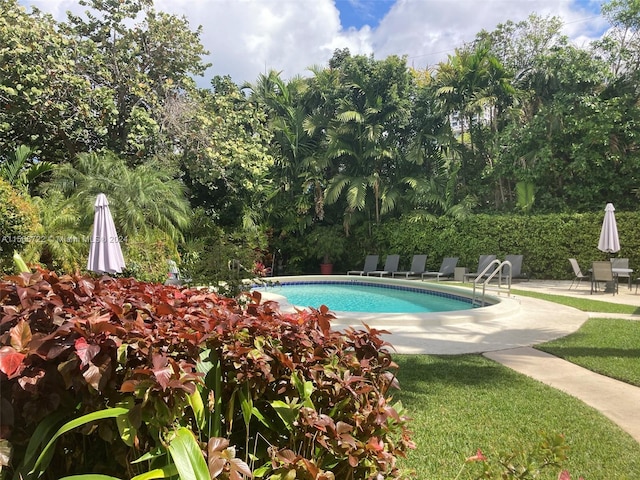 view of swimming pool with a patio area and a yard