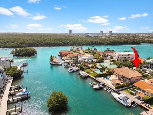 bird's eye view with a water view