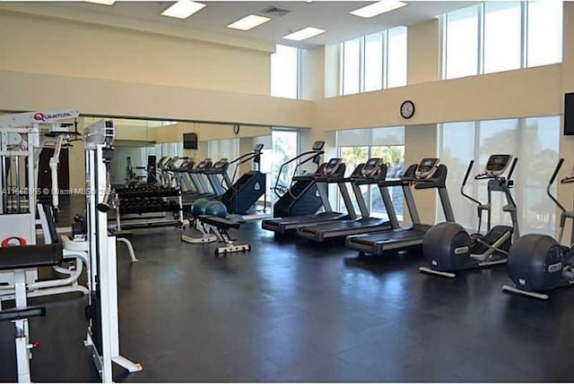 workout area with a high ceiling