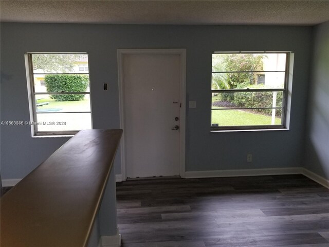 entryway featuring dark hardwood / wood-style floors and a textured ceiling