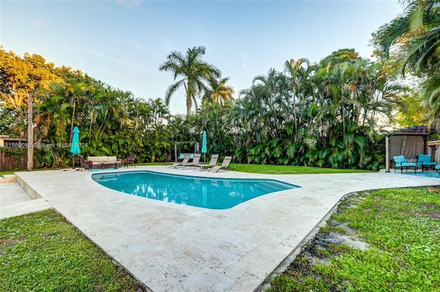 view of swimming pool with a patio area