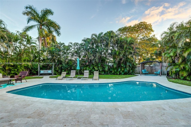 view of pool featuring a patio