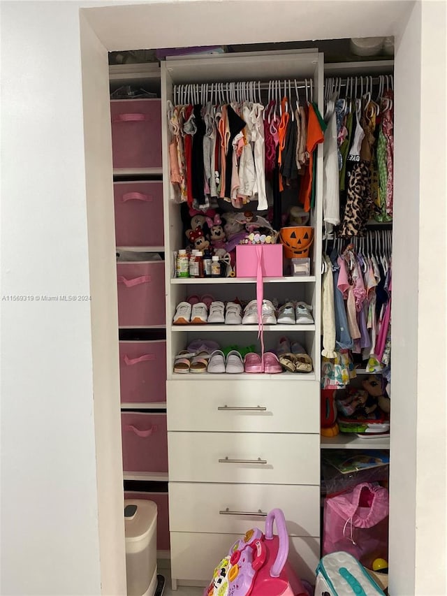 view of closet