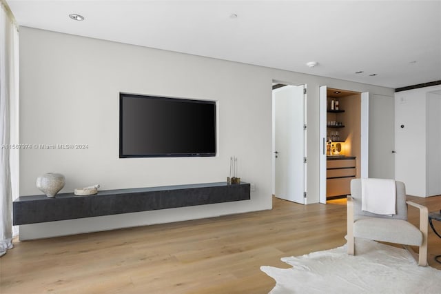 living room featuring light hardwood / wood-style flooring