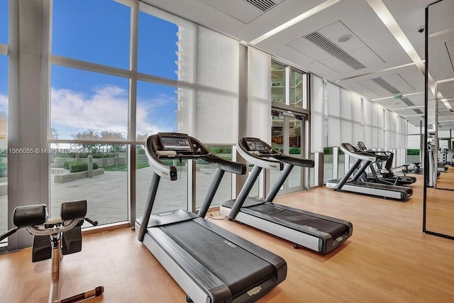 gym with light hardwood / wood-style flooring, a wealth of natural light, and expansive windows