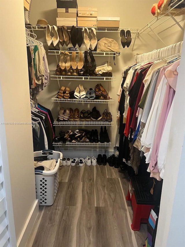 walk in closet featuring dark hardwood / wood-style floors