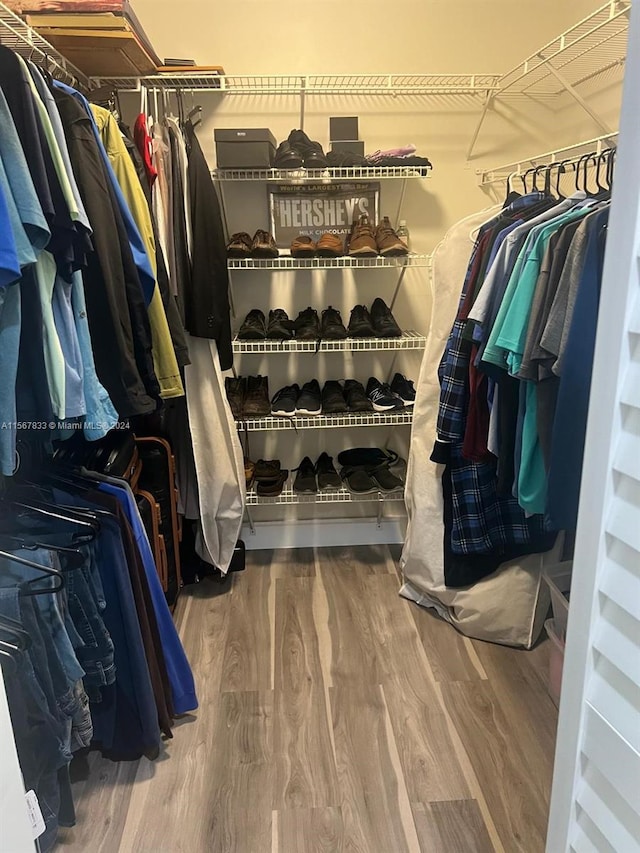 spacious closet featuring wood-type flooring