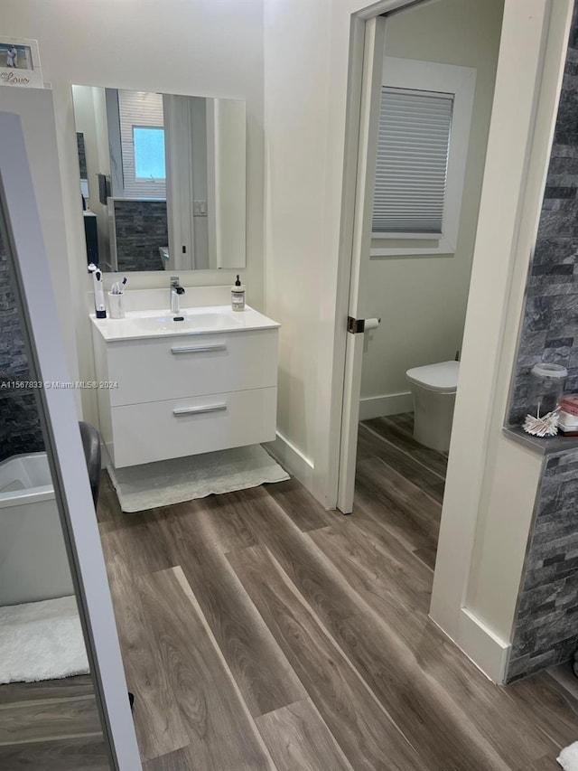 bathroom with hardwood / wood-style flooring and large vanity