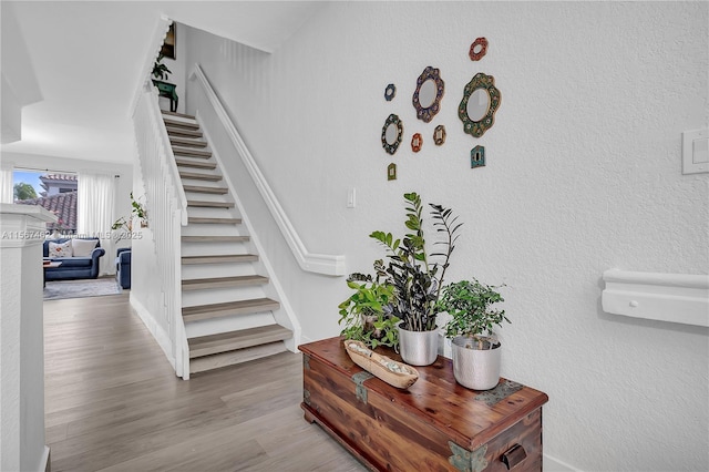 stairs with hardwood / wood-style flooring