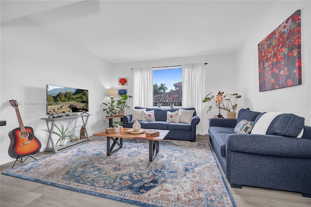 living room featuring light hardwood / wood-style floors