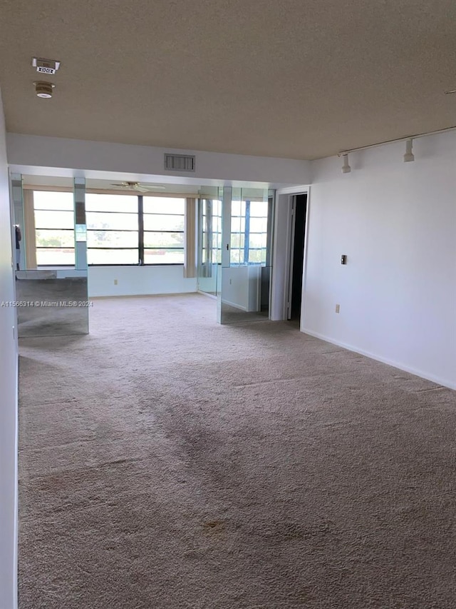 carpeted spare room featuring a healthy amount of sunlight and track lighting