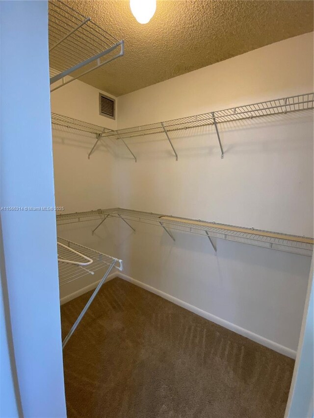 empty room with a wealth of natural light, carpet floors, a textured ceiling, and ceiling fan