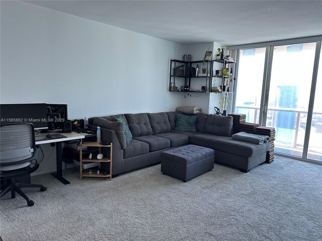 carpeted living room featuring expansive windows