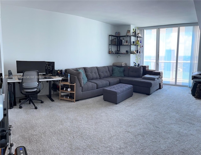 carpeted living room featuring expansive windows