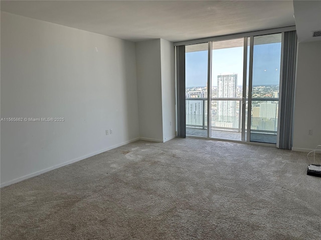 carpeted empty room with a wall of windows