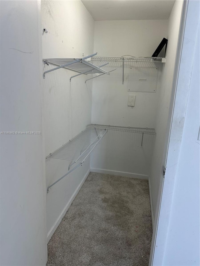 spacious closet with carpet