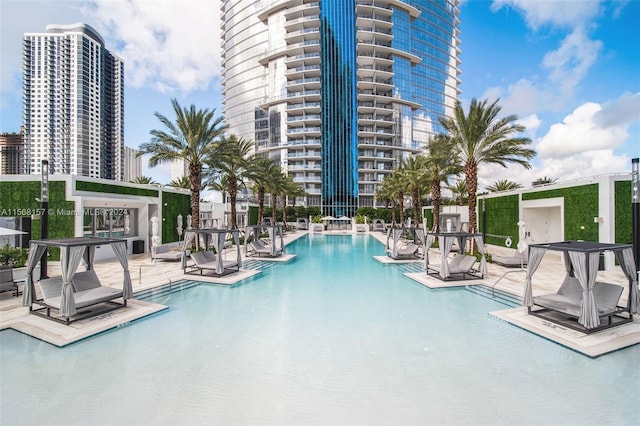 view of pool with a patio area