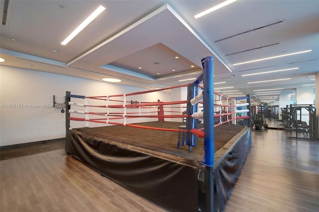 rec room with hardwood / wood-style flooring and a raised ceiling