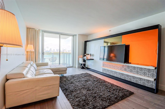 living room featuring hardwood / wood-style floors