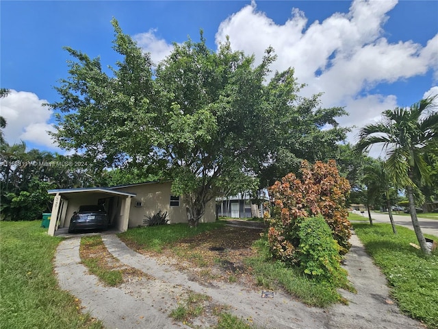 view of property hidden behind natural elements featuring an attached carport and stucco siding